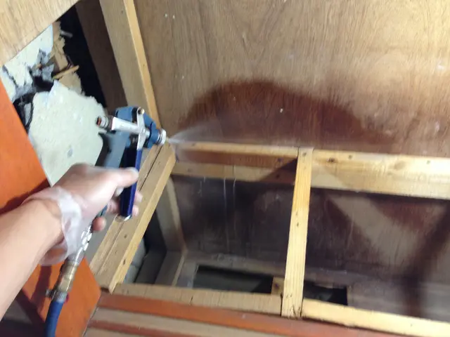 シロアリ駆除、予防施工サービスの画像