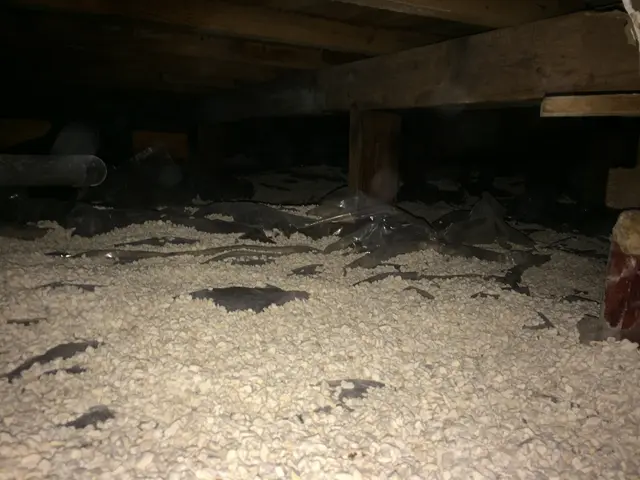 シロアリ駆除、予防施工サービスの画像