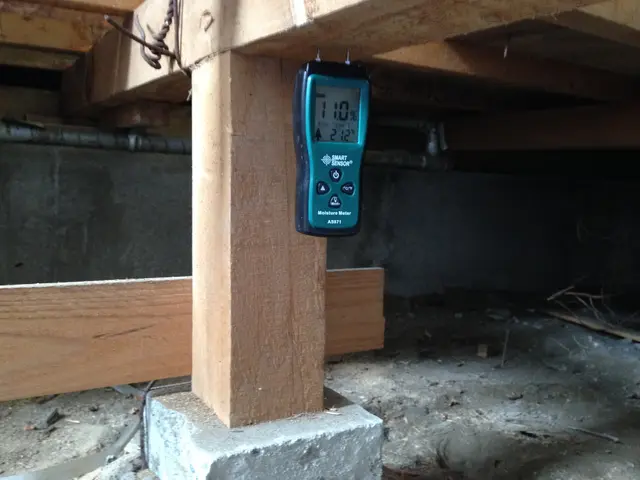 シロアリ駆除、予防施工サービスの画像