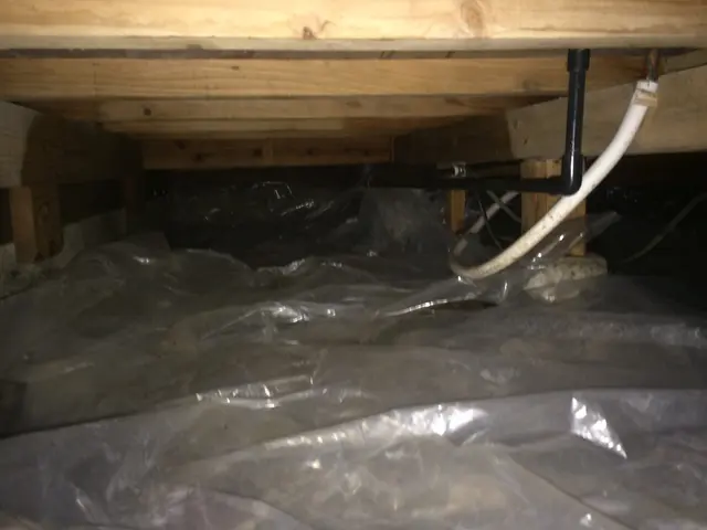 シロアリ駆除、予防施工サービスの画像