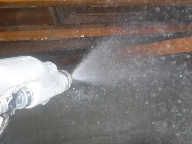 豊富な経験で安心◎ 専門知識を持ったスタッフが害虫害獣のトラブルを解決します！サービスの画像