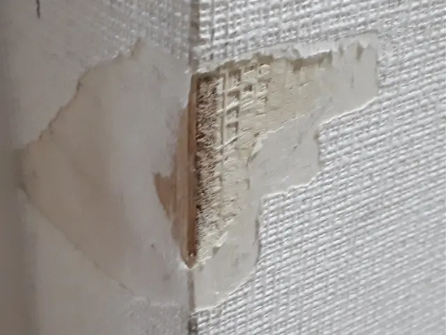 ◆壁の穴補修致します◆壁紙専門☆部分補修サービスの画像