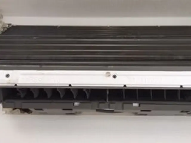 創業２３年の実績！除菌消臭サービス中！2台目以降割引ありますサービスの画像