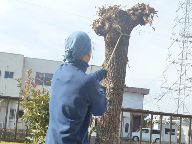【県内伐採部門口コミ件数NO.1】【リピーター多数】お庭のお悩み解決します！サービスの画像