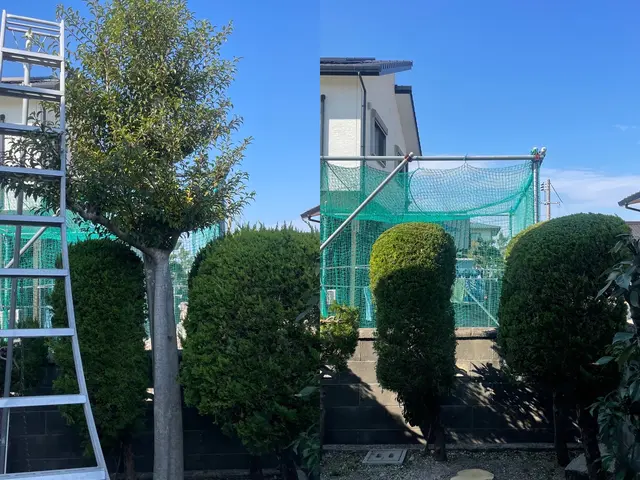 【県内伐採部門口コミ件数NO.1】【リピーター多数】お庭のお悩み解決します！サービスの画像