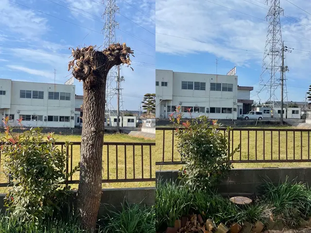 【県内伐採部門口コミ件数NO.1】【リピーター多数】お庭のお悩み解決します！サービスの画像