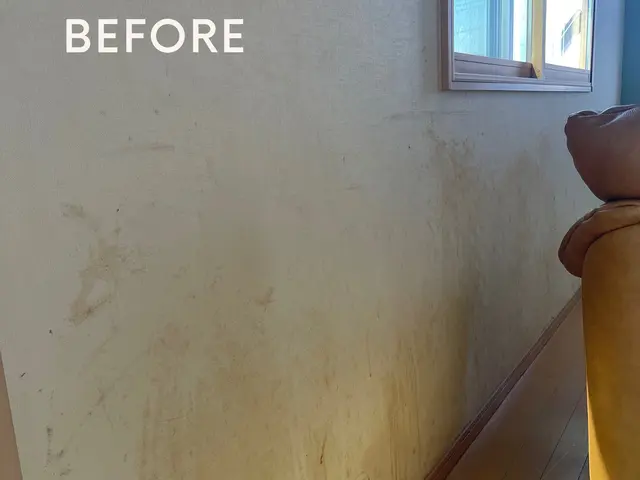 施工実績100件以上ブログ更新中！・壁紙を張替えずにキレイに！・ 消臭抗菌効果！サービスの画像