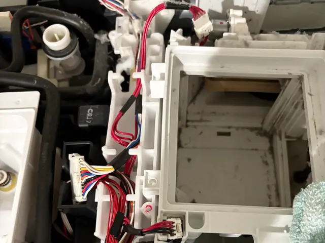 ドラム型洗濯機クリーニングサービスの画像