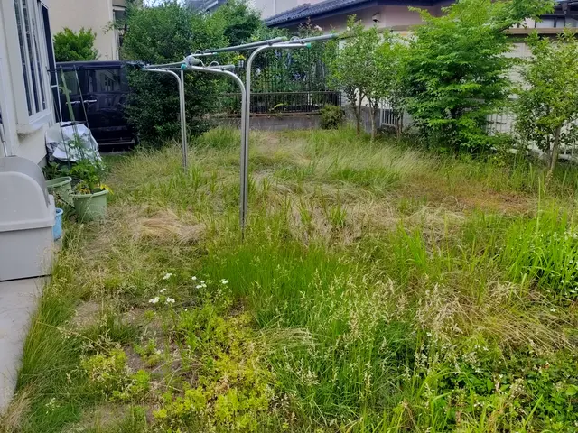 【土日祝ご予約大歓迎】お庭の草刈り・駐車場の草刈り・空き地・宅地の草刈りサービスの画像