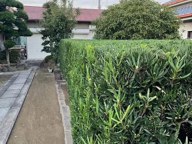 【2級造園施工管理技士】業歴7年◎自社スタッフが迅速丁寧に仕上げます。サービスの画像