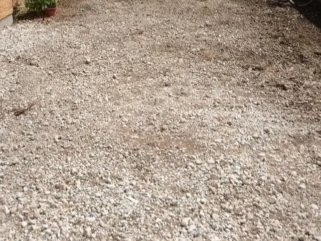 伸びすぎた草は、草刈りから！せっかくなら、静音式のふくちゃんに頼んでみませんか？サービスの画像