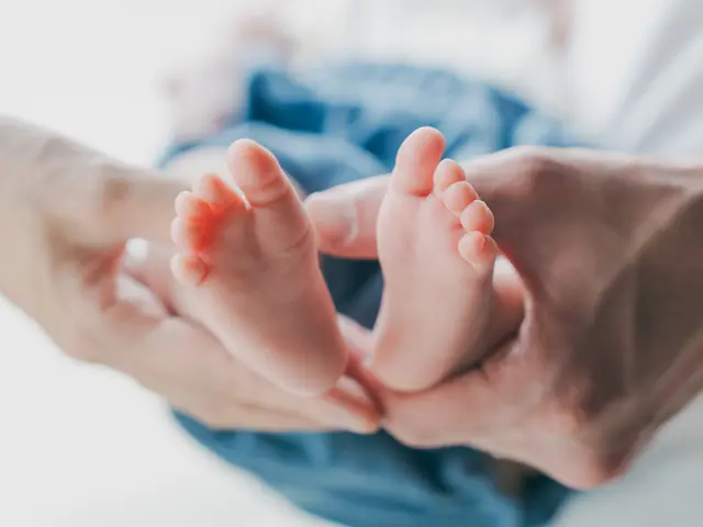 出張撮影/お宮参りサービスの画像