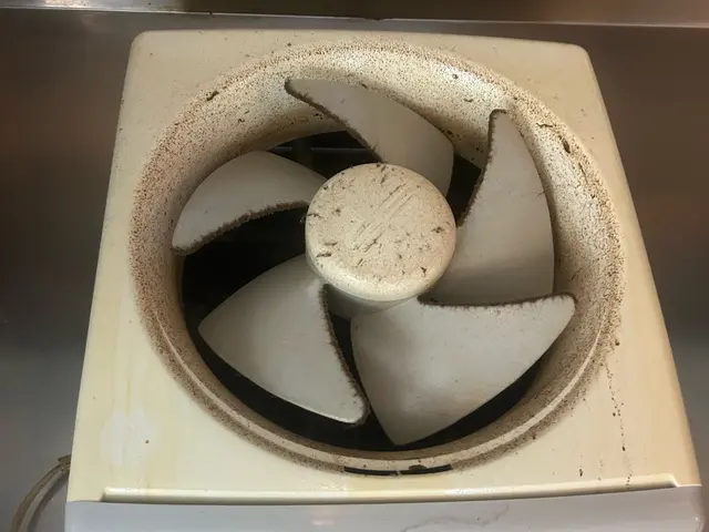 【限定¥15000→¥8000】11/1〜11/30 18:00〜19:00対応サービスの画像