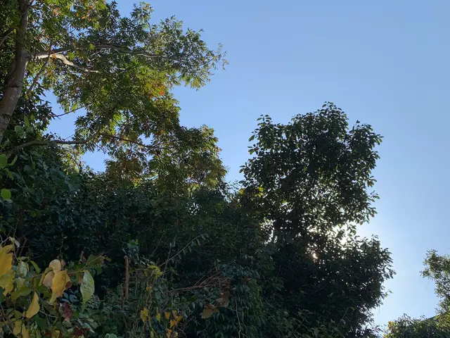 ＜静岡・神奈川エリア＞予約対応～作業完了まで、当社スタッフがすべてご対応！サービスの画像