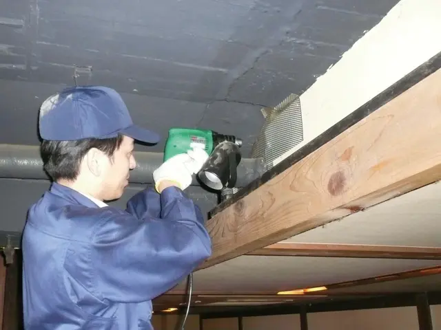 【駆除歴20年】プロがお悩みトータルサポート！【定期契約も可能！】サービスの画像