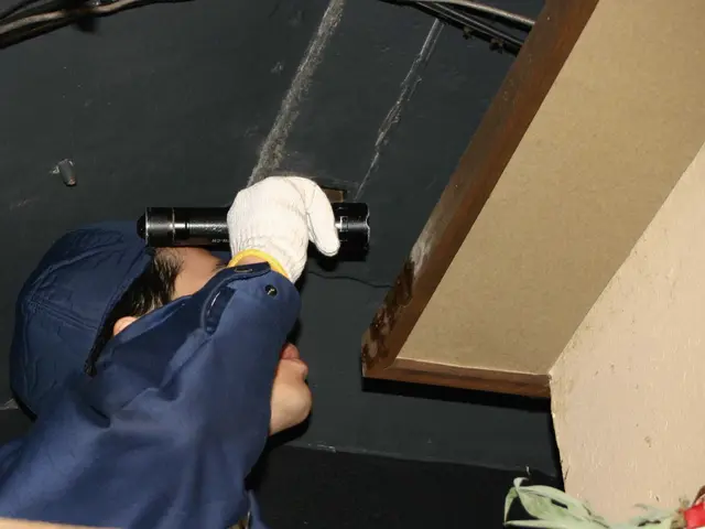 【駆除歴20年】プロがお悩みトータルサポート！【定期契約も可能！】サービスの画像