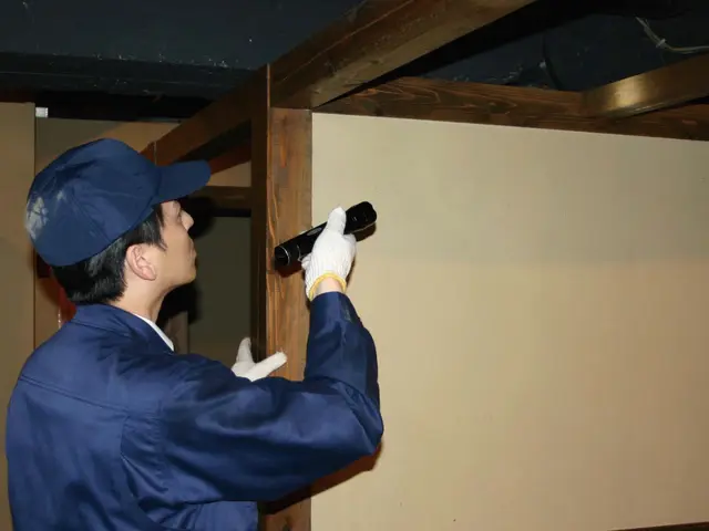 【駆除歴20年】プロがお悩みトータルサポート！【定期契約も可能！】サービスの画像