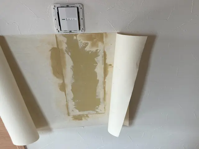 壁の穴・凹み補修、クロスの塗り替えサービスの画像