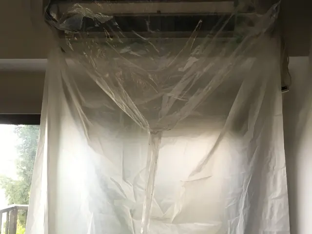 エコ高圧洗浄【ハウスクリーニング士】化合物を含まない100％天然植物洗剤を使用サービスの画像