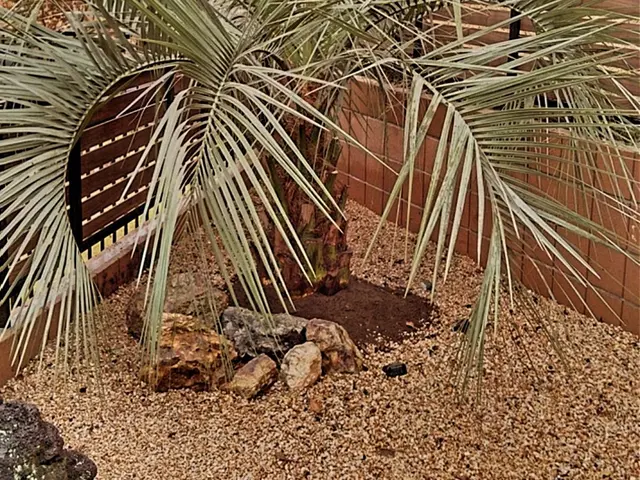 15年以上の実績を持つ店長が必ず訪問！お客様に寄り添う安心の作業サービスの画像