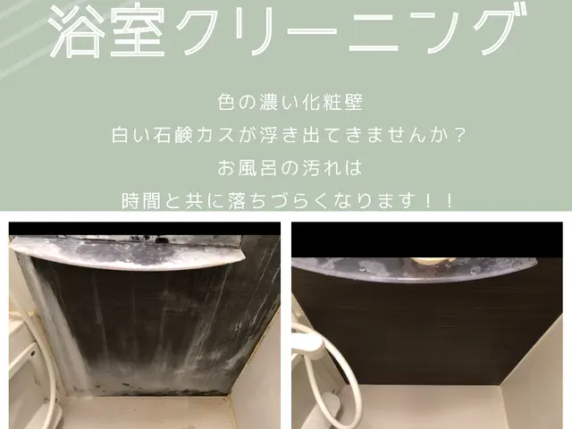 【天然洗剤・優良企業店】自然にも体にも○ 安心と綺麗をお届けしますサービスの画像