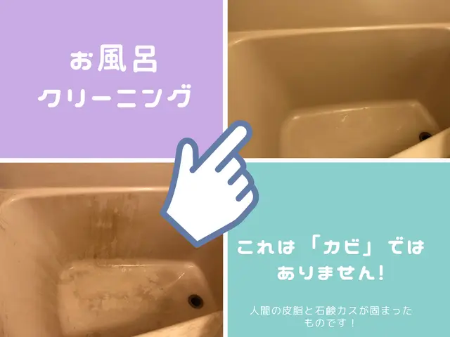 【天然洗剤・優良企業店】自然にも体にも○ 安心と綺麗をお届けしますサービスの画像