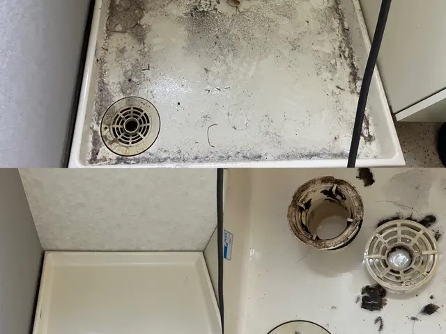 プロの技術でご満足いただけるように心を込めて作業いたしますサービスの画像