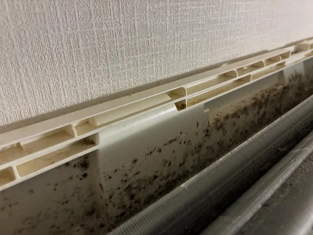 ◆お得◆【抗菌コート・ドレンホース清掃】★4,000円分のオプションが無料★サービスの画像