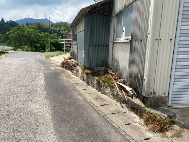 真夏で生い茂った草をしっかり刈ります！処分までお任せ！サービスの画像