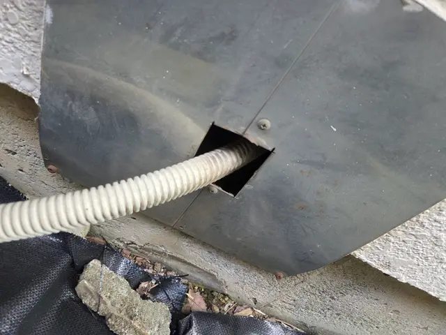 ネズミの事を知り尽くしています。千葉、神奈川、東京、埼玉無料見積もり対応します。サービスの画像