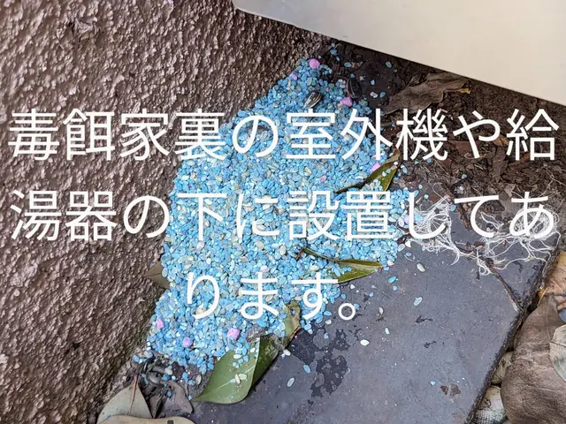 ネズミの事を知り尽くしています。千葉、神奈川、東京、埼玉無料見積もり対応します。サービスの画像