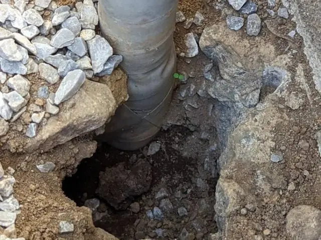 ネズミの事を知り尽くしています。千葉、神奈川、東京、埼玉無料見積もり対応します。サービスの画像