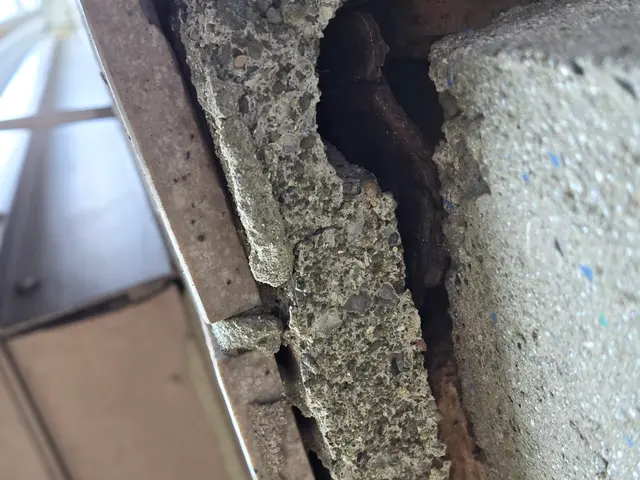 ネズミの事を知り尽くしています。千葉、神奈川、東京、埼玉無料見積もり対応します。サービスの画像