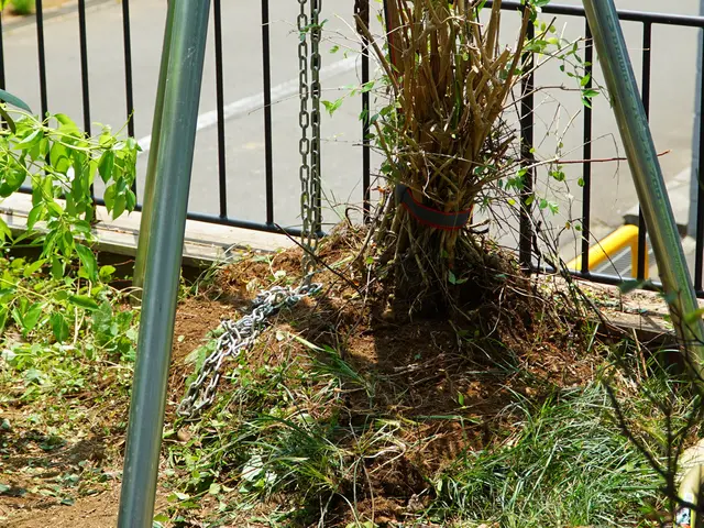 新規出店◎狭いお庭でもできる堀上げ・吊上げサービスの画像