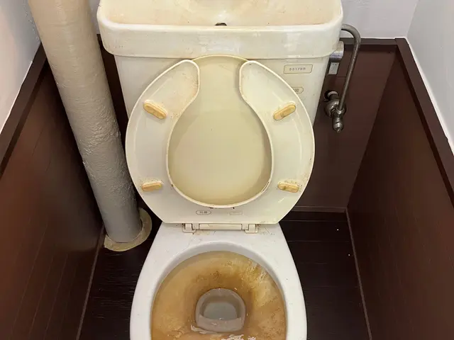 《千葉県》【日本ハウスクリーニング協会認定】★非喫煙者★損害保険加入★サービスの画像