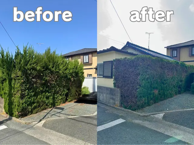 ◆◇植え込みスッキリでココロもスッキリ◇◆サービスの画像