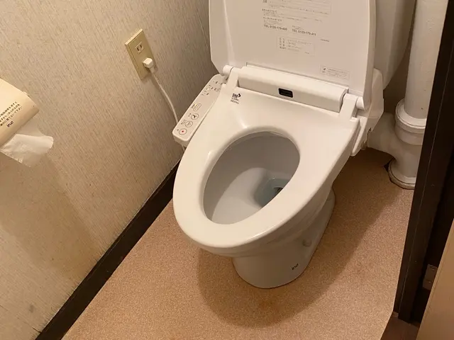 【繁忙期前キャンペーン価格】5児パパの私が、ピカピカトイレで家族の快適を守りますサービスの画像