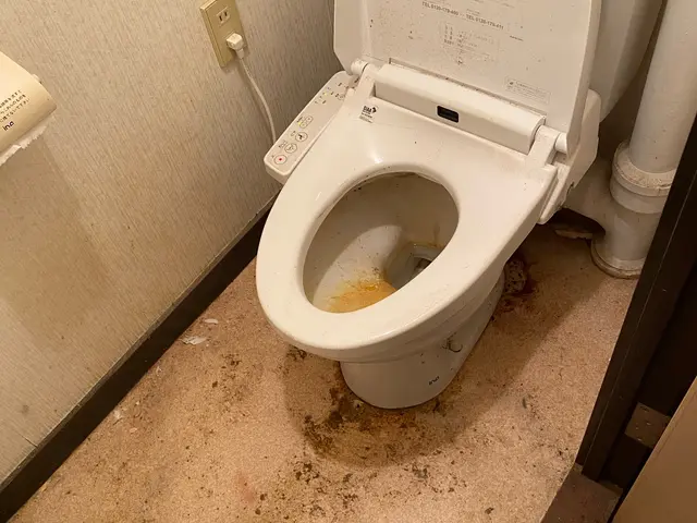 【繁忙期前キャンペーン価格】5児パパの私が、ピカピカトイレで家族の快適を守りますサービスの画像