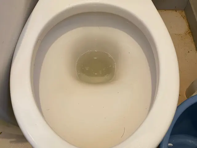 【繁忙期前キャンペーン価格】5児パパの私が、ピカピカトイレで家族の快適を守りますサービスの画像