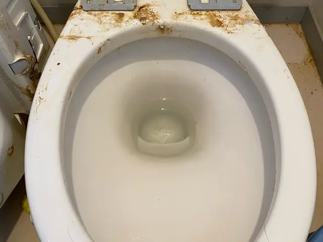 【繁忙期前キャンペーン価格】5児パパの私が、ピカピカトイレで家族の快適を守りますサービスの画像