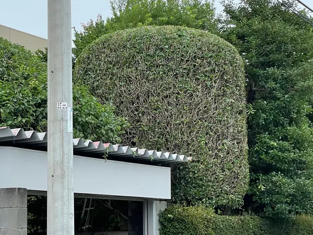 ＜女性スタッフの同行OK＞営業時間外のご予約も相談可能です◎サービスの画像