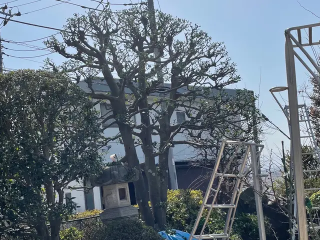 ＜女性スタッフの同行OK＞営業時間外のご予約も相談可能です◎サービスの画像