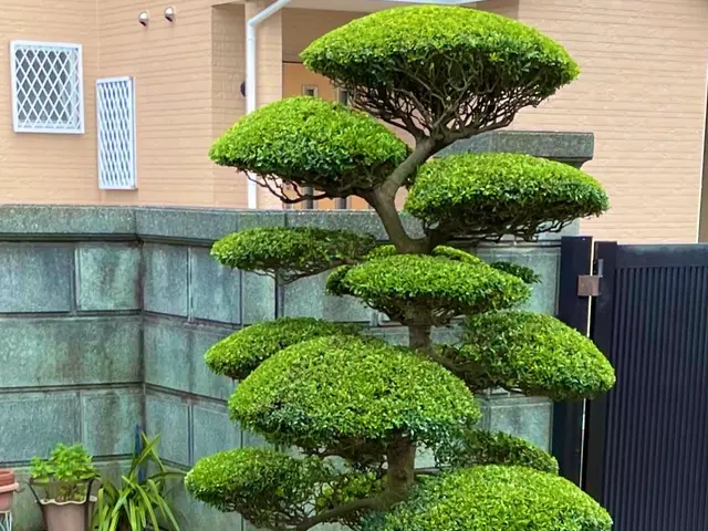 ＜女性スタッフの同行OK＞営業時間外のご予約も相談可能です◎サービスの画像