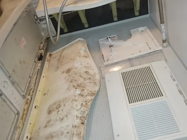 浴室の『カビ』『水アカ』レンジフードの『しつこい油汚れ』丁寧に除去！サービスの画像