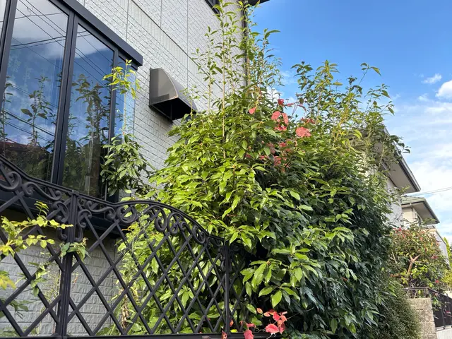 イメージ通りに仕上げる丁寧な作業でお客様満足度の高いプロによる安心サービスサービスの画像