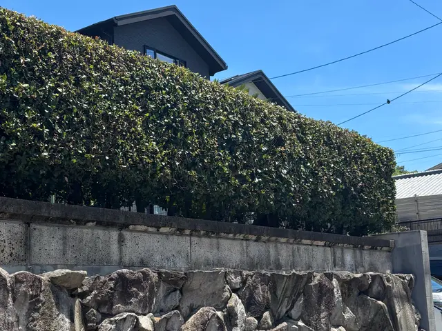 イメージ通りに仕上げる丁寧な作業でお客様満足度の高いプロによる安心サービスサービスの画像