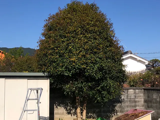 【☆店長のわたしがお伺いします☆】お気軽にご相談ください！！サービスの画像