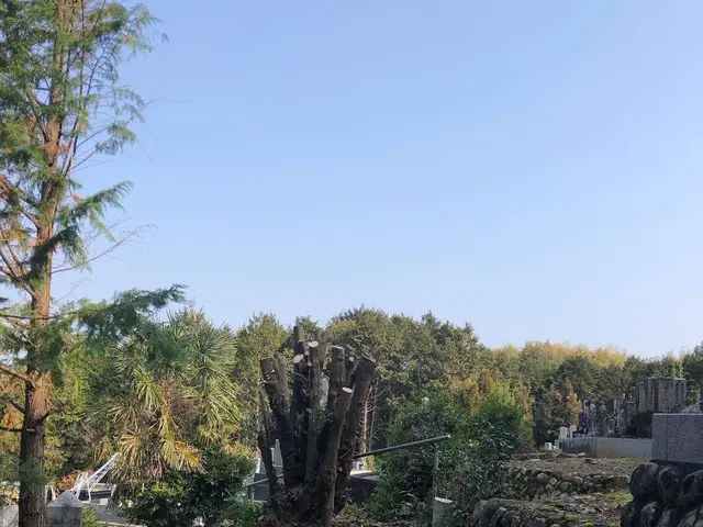 【☆店長のわたしがお伺いします☆】お気軽にご相談ください！！サービスの画像