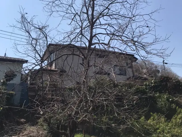 庭木の剪定サービスの画像