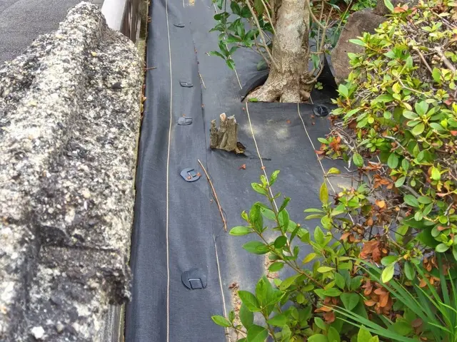 お客様のお力になります！経験と知識を活かして迅速丁寧に作業いたしますサービスの画像